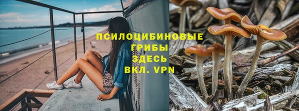 спайс Верея