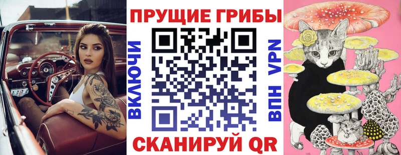 Галлюциногенные грибы Psilocybe  Вязники 
